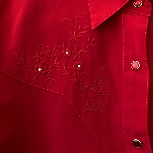 Western Style Blouse with Embroidered Accents by Daniali - Picture 4 of 8